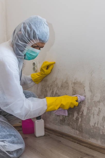 Mold Remediation for Vacation Homes in Upper Fruitland, NM